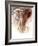 Elephant Bull-Mark Adlington-Framed Giclee Print