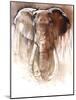 Elephant Bull-Mark Adlington-Mounted Giclee Print