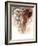 Elephant Bull-Mark Adlington-Framed Giclee Print