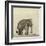 Elephant, C.1790-Gungaram Tambat-Framed Giclee Print