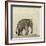 Elephant, C.1790-Gungaram Tambat-Framed Giclee Print