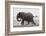 Elephant, Chobe Nat Pk, Botswana, Africa-Peter Adams-Framed Photographic Print