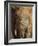 Elephant, Covered in Mud, Eastern Cape, South Africa-Steve & Ann Toon-Framed Photographic Print