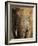 Elephant, Covered in Mud, Eastern Cape, South Africa-Steve & Ann Toon-Framed Photographic Print