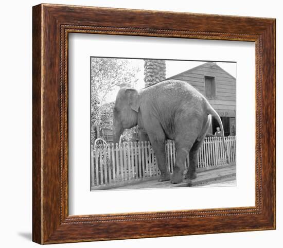 Elephant crossing Picket Fence-null-Framed Art Print