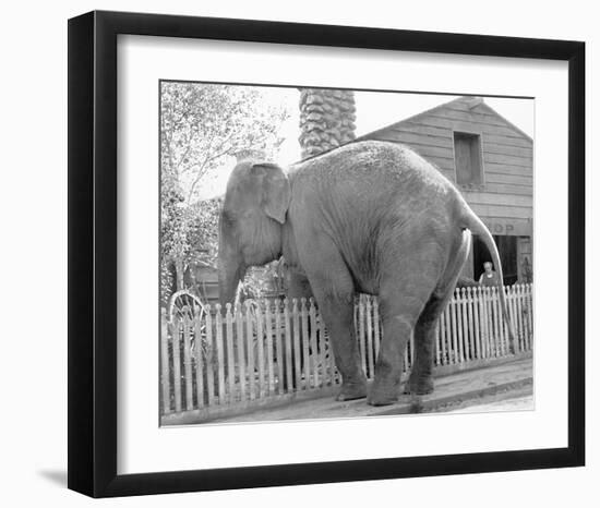 Elephant crossing Picket Fence-null-Framed Art Print