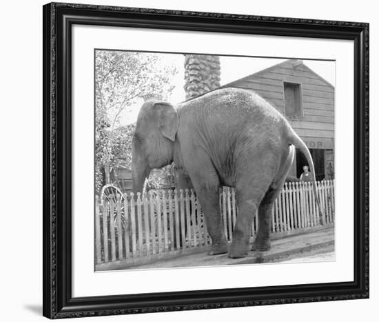 Elephant crossing Picket Fence-null-Framed Art Print