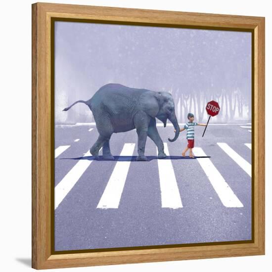 Elephant Crossing-Nancy Tillman-Framed Stretched Canvas