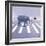 Elephant Crossing-Nancy Tillman-Framed Art Print