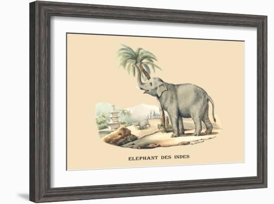 Elephant d'Inde-E.f. Noel-Framed Art Print