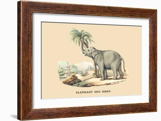 Elephant d'Inde-E.f. Noel-Framed Art Print