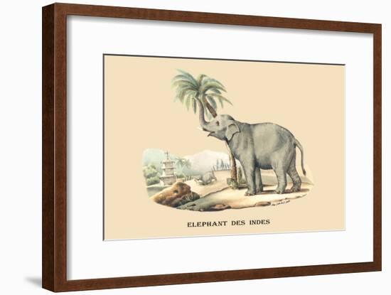 Elephant d'Inde-E.f. Noel-Framed Art Print