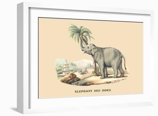Elephant d'Inde-E.f. Noel-Framed Art Print
