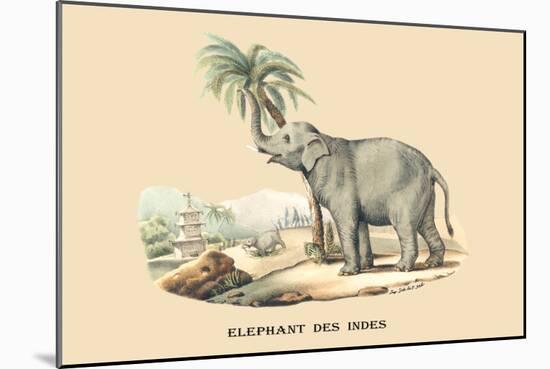 Elephant d'Inde-E.f. Noel-Mounted Art Print