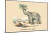 Elephant d'Inde-E.f. Noel-Mounted Art Print