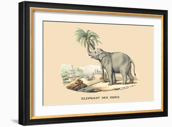 Elephant d'Inde-E.f. Noel-Framed Art Print