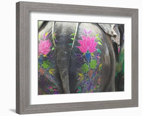 Elephant Decorated with Colorful Painting at Elephant Festival, Jaipur, Rajasthan, India-Keren Su-Framed Photographic Print