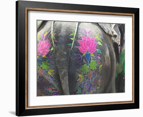 Elephant Decorated with Colorful Painting at Elephant Festival, Jaipur, Rajasthan, India-Keren Su-Framed Photographic Print