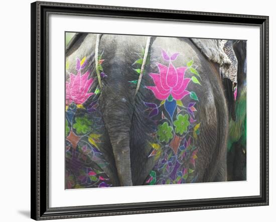 Elephant Decorated with Colorful Painting at Elephant Festival, Jaipur, Rajasthan, India-Keren Su-Framed Photographic Print