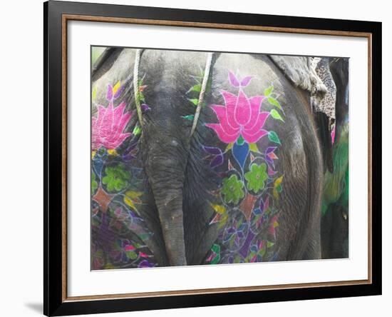 Elephant Decorated with Colorful Painting at Elephant Festival, Jaipur, Rajasthan, India-Keren Su-Framed Photographic Print