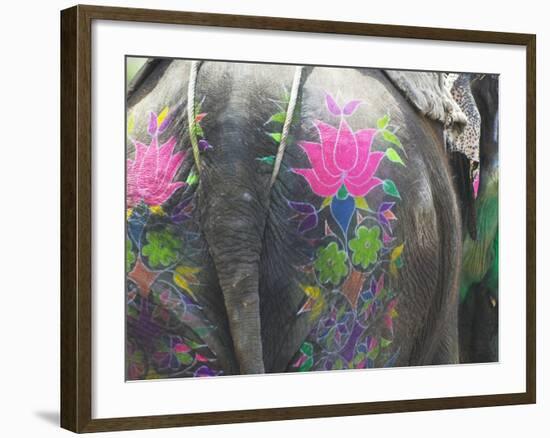 Elephant Decorated with Colorful Painting at Elephant Festival, Jaipur, Rajasthan, India-Keren Su-Framed Photographic Print