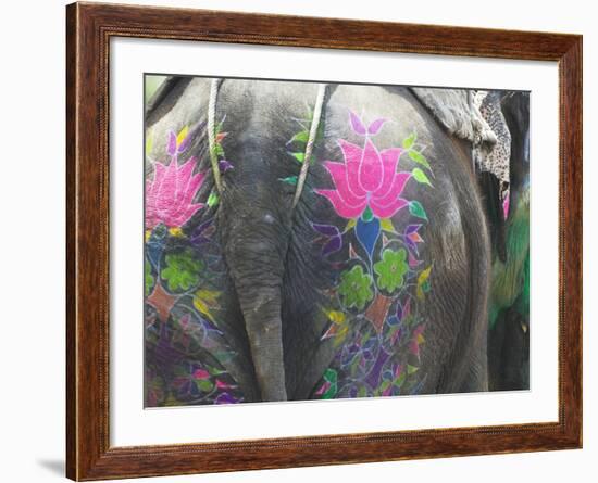 Elephant Decorated with Colorful Painting at Elephant Festival, Jaipur, Rajasthan, India-Keren Su-Framed Photographic Print