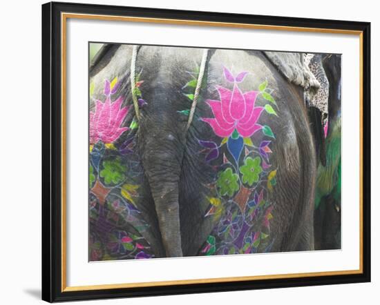 Elephant Decorated with Colorful Painting at Elephant Festival, Jaipur, Rajasthan, India-Keren Su-Framed Photographic Print