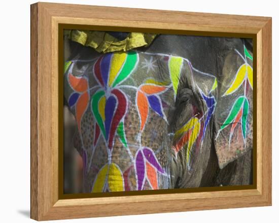 Elephant Decorated with Colorful Painting, Jaipur, Rajasthan, India-Keren Su-Framed Premier Image Canvas