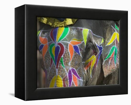 Elephant Decorated with Colorful Painting, Jaipur, Rajasthan, India-Keren Su-Framed Premier Image Canvas