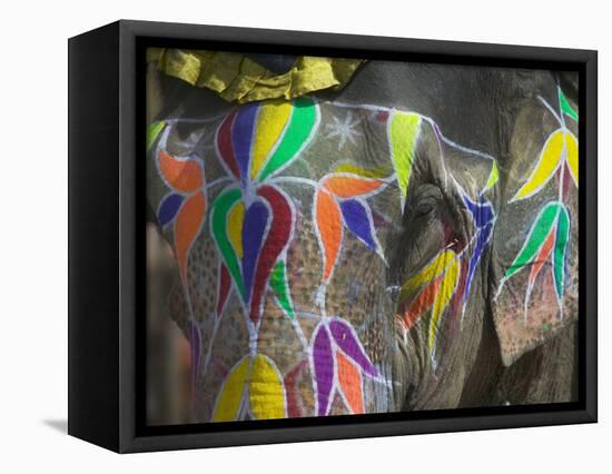 Elephant Decorated with Colorful Painting, Jaipur, Rajasthan, India-Keren Su-Framed Premier Image Canvas