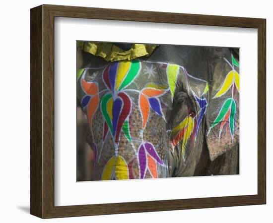 Elephant Decorated with Colorful Painting, Jaipur, Rajasthan, India-Keren Su-Framed Photographic Print