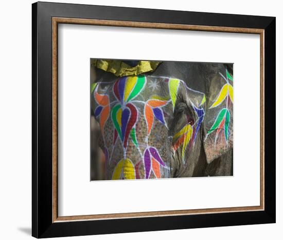 Elephant Decorated with Colorful Painting, Jaipur, Rajasthan, India-Keren Su-Framed Photographic Print