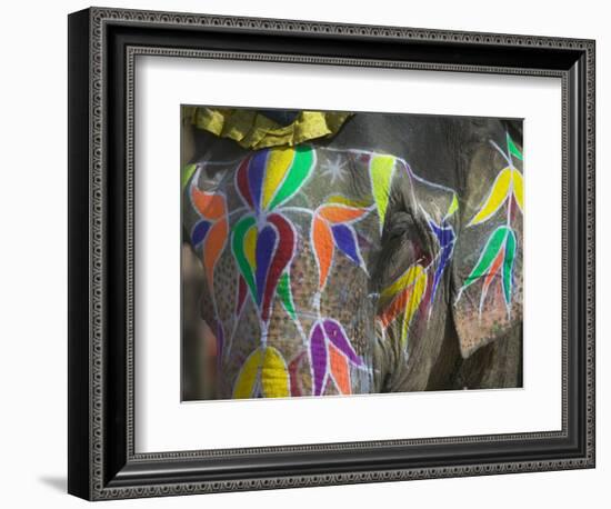 Elephant Decorated with Colorful Painting, Jaipur, Rajasthan, India-Keren Su-Framed Photographic Print