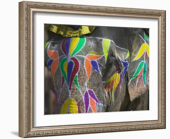 Elephant Decorated with Colorful Painting, Jaipur, Rajasthan, India-Keren Su-Framed Photographic Print