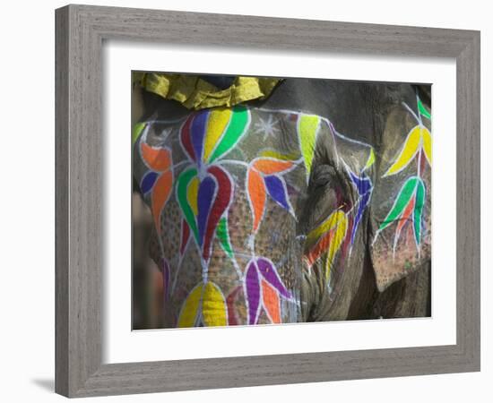 Elephant Decorated with Colorful Painting, Jaipur, Rajasthan, India-Keren Su-Framed Photographic Print