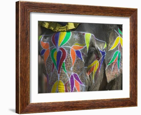 Elephant Decorated with Colorful Painting, Jaipur, Rajasthan, India-Keren Su-Framed Photographic Print