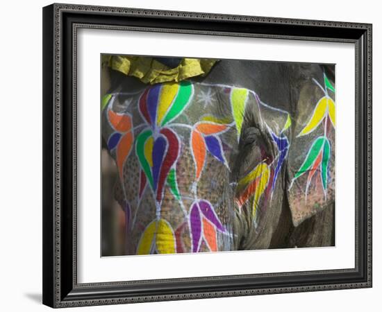 Elephant Decorated with Colorful Painting, Jaipur, Rajasthan, India-Keren Su-Framed Photographic Print