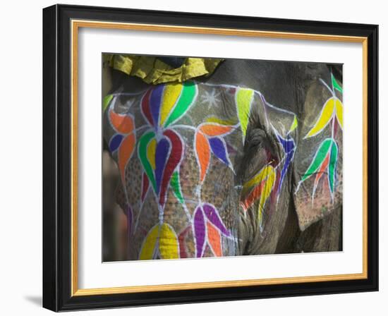 Elephant Decorated with Colorful Painting, Jaipur, Rajasthan, India-Keren Su-Framed Photographic Print