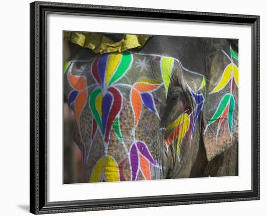 Elephant Decorated with Colorful Painting, Jaipur, Rajasthan, India-Keren Su-Framed Photographic Print