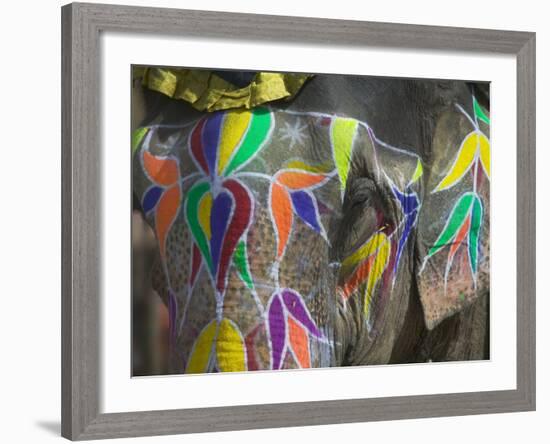 Elephant Decorated with Colorful Painting, Jaipur, Rajasthan, India-Keren Su-Framed Photographic Print