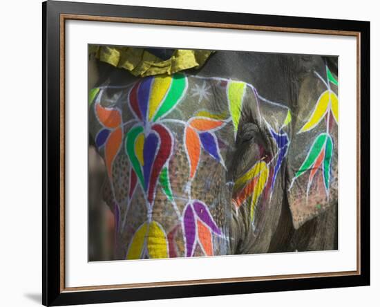 Elephant Decorated with Colorful Painting, Jaipur, Rajasthan, India-Keren Su-Framed Photographic Print