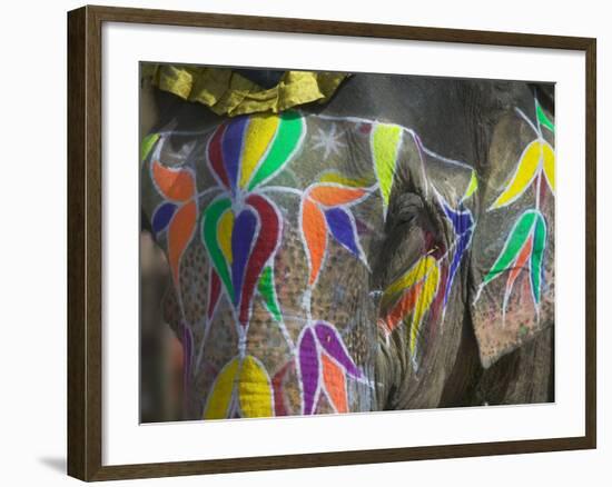 Elephant Decorated with Colorful Painting, Jaipur, Rajasthan, India-Keren Su-Framed Photographic Print