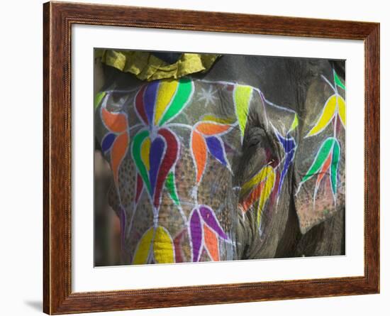 Elephant Decorated with Colorful Painting, Jaipur, Rajasthan, India-Keren Su-Framed Photographic Print