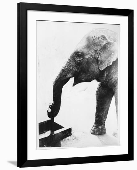 Photographic Print, , large