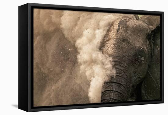 Elephant Dust Bathing-Martin Harvey-Framed Premier Image Canvas