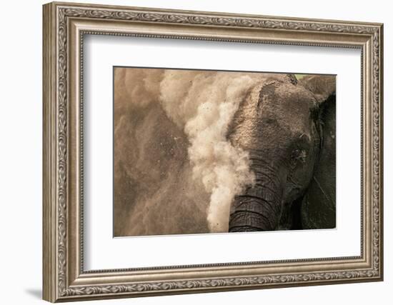 Elephant Dust Bathing-Martin Harvey-Framed Photographic Print