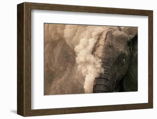 Elephant Dust Bathing-Martin Harvey-Framed Photographic Print