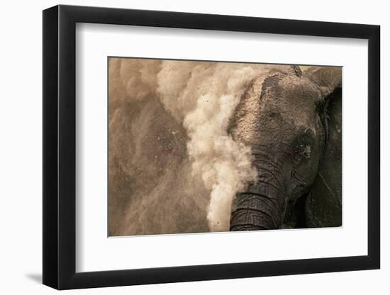 Elephant Dust Bathing-Martin Harvey-Framed Photographic Print