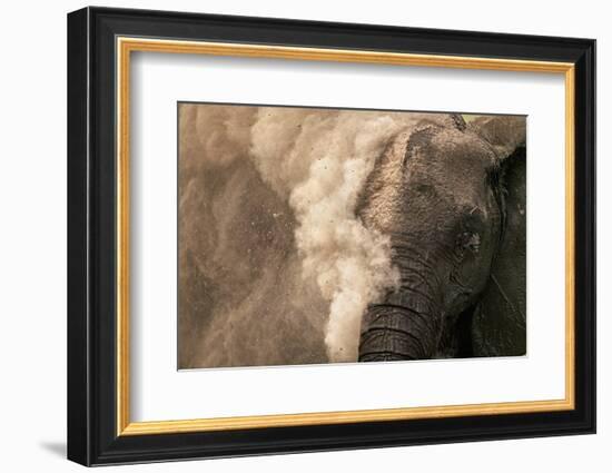 Elephant Dust Bathing-Martin Harvey-Framed Photographic Print