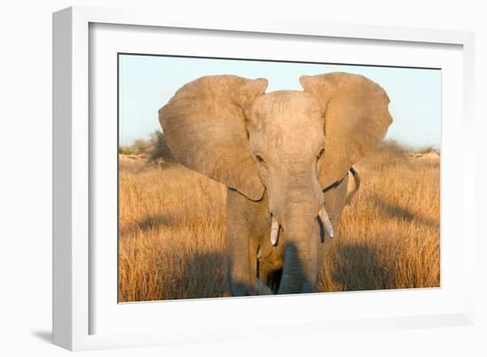 Elephant Ears-Howard Ruby-Framed Photographic Print